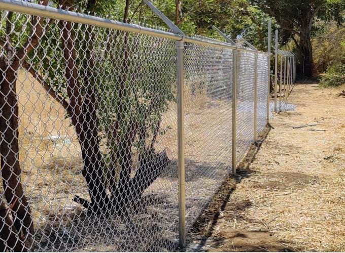 Chain Link Fences